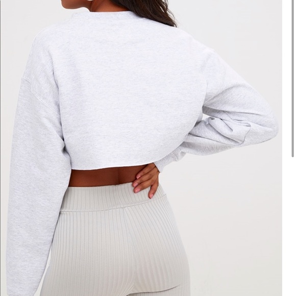 grey cropped jumper plt